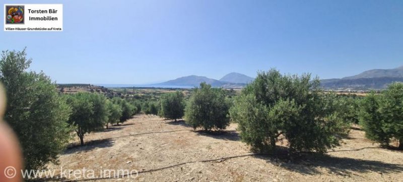 Kamilari Traumhaftes Grundstück mit 360° Panoramablick auf das lybische Meer und den höchsten Berg Kretas, den Psiloritis Grundstück